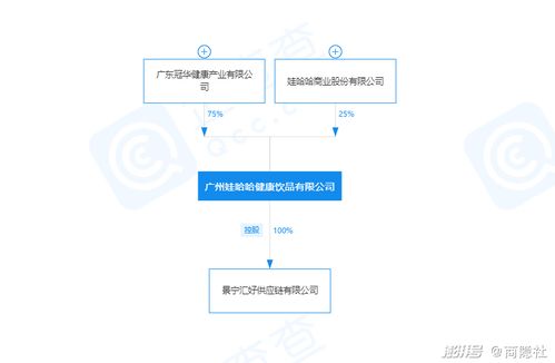 娃哈哈第三次创业失败了